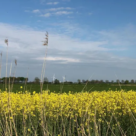 Apartment Tief 10 Osterdeich Mit Internet 301 *