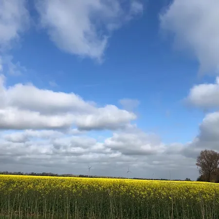 Tief 10 Osterdeich Mit Internet 301 Schillig