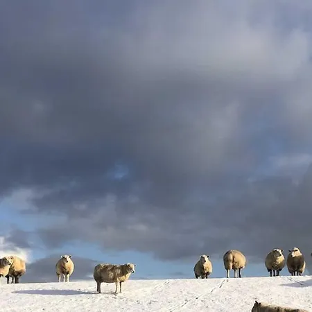 Tief 10 Osterdeich Mit Internet 301 * Schillig