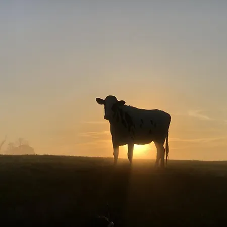 Tief 10 Osterdeich Mit Internet 301 Apartment *