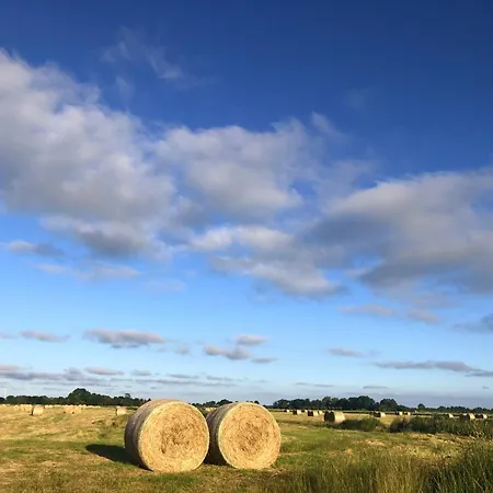 Tief 10 Osterdeich Mit Internet 301 Apartment Schillig