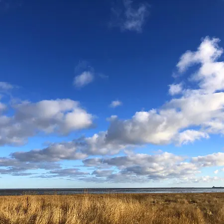 Tief 10 Osterdeich Mit Internet 301 Schillig