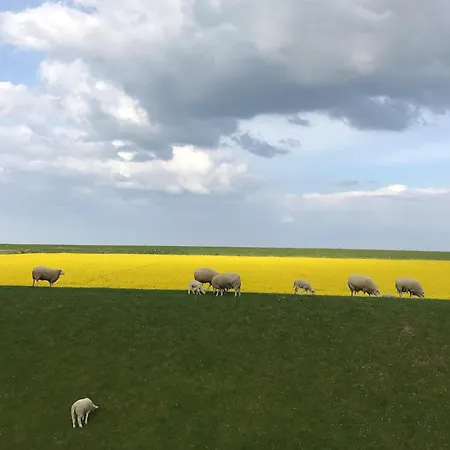 Tief 10 Osterdeich Mit Internet 301