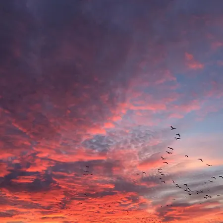 Tief 10 Osterdeich Mit Internet 301 * Schillig