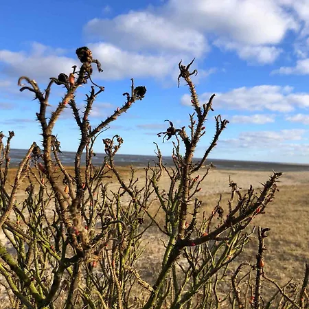 Tief 10 Osterdeich Mit Internet 301 * Schillig