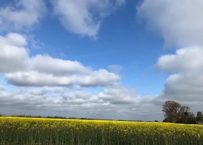 Tief 10 Osterdeich Mit Internet 301 Schillig
