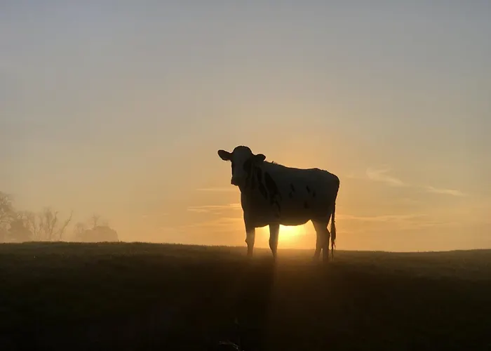 Tief 10 Osterdeich Mit Internet 301 Apartman *