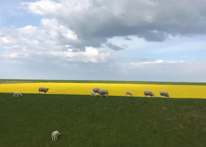 Tief 10 Osterdeich Mit Internet 301