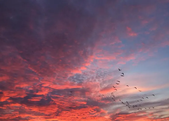 Tief 10 Osterdeich Mit Internet 301 * Schillig