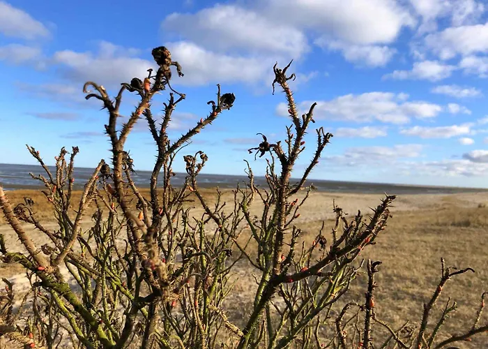 Tief 10 Osterdeich Mit Internet 301 * Schillig